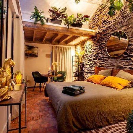 Bohème Les Petits Plaisirs Bed & Breakfast Angers