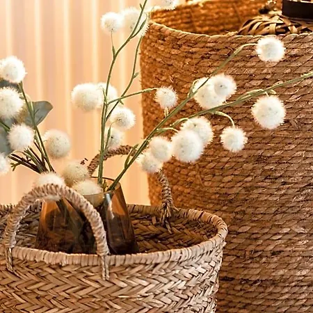 Boheme Les Petits Plaisirs 3*