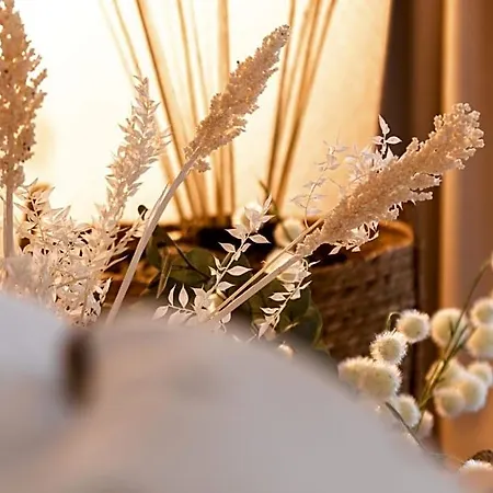 Boheme Les Petits Plaisirs Alojamento de Acomodação e Pequeno-almoço